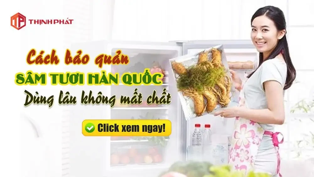 Cách bảo quản nhân sâm tươi đúng cách để dùng được lâu mà không mất chất