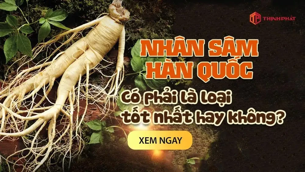 Có phải nhân sâm Hàn Quốc tốt nhất cho sức khỏe, có bao nhiêu loại nhân sâm trên thế giới?