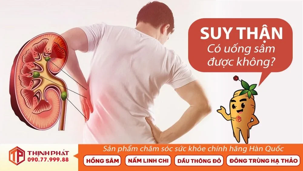 Suy Thận Có Uống Sâm Được Không? Những Thực Phẩm Khuyên Dùng Cho Người Thận Yếu