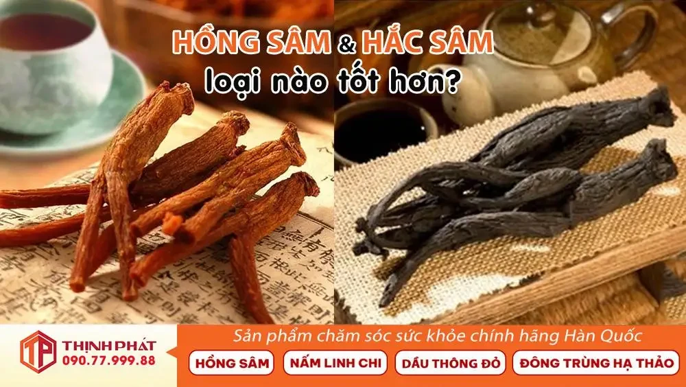 Hồng Sâm Và Hắc Sâm Loại Nào Tốt Hơn? Nghiên cứu từ viện y học Mỹ