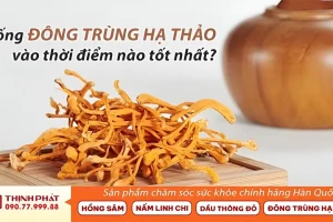 Uống Đông Trùng Hạ Thảo Vào Lúc Nào Tốt Nhất?