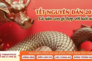 Tết Nguyên đán 2024 là năm con gì, hợp với những tuổi nào?