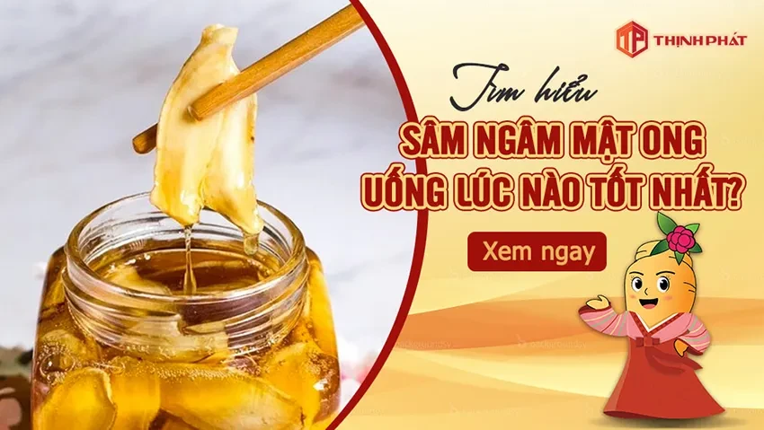 Thời điểm vàng trong ngày để uống Sâm ngâm mật ong