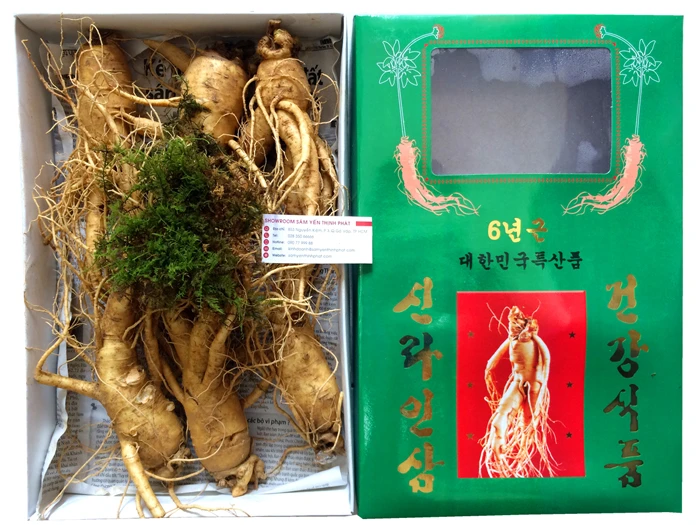 Bạn đã biết dùng sâm tươi đúng cách?