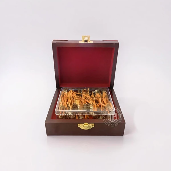 Con đông trùng hạ thảo ký chủ Việt Nam hộp 40 con