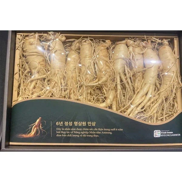 Nhân sâm tươi Hàn Quốc loại 1 nhập khẩu kg 8 củ