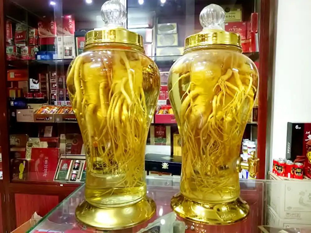 Rượu ngâm nhân sâm là thức uống có nhiều tác dụng quý, thường được dùng  để đãi khách hoặc sử dụng hằng ngày