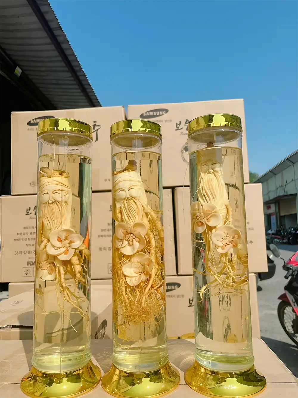 Bạn có thể tạo hình đẹp mắt cho củ sâm trước khi ngâm