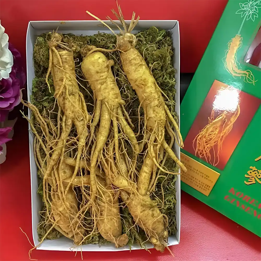 Nhân sâm tươi 6 năm tuổi được nhập từ vựa sâm Geumsan Hàn Quốc