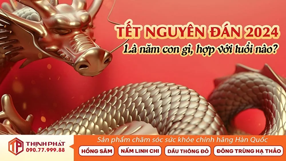 Tết Nguyến Đán 2024 là năm con gì, hợp với tuổi nào? Tết Nguyến Đán 2024 là năm con gì, hợp với tuổi nào?