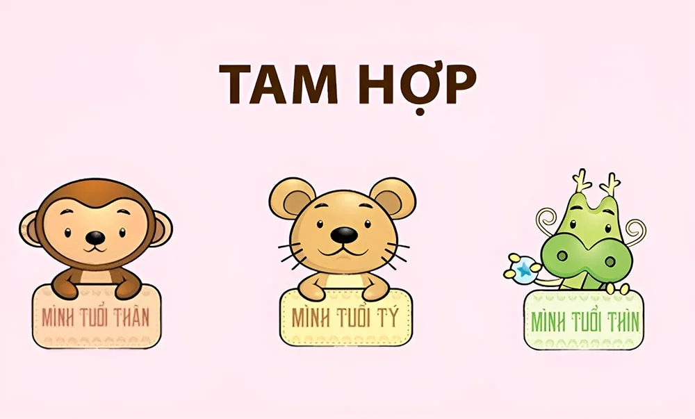 Năm 2024 là năm tam hợp của bộ ba Thân - Tý - Thìn Năm 2024 là năm tam hợp của bộ ba Thân - Tý - Thìn