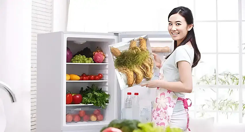 Bạn có thể bảo quản sâm tươi trong tủ lạnh để dùng lâu hơn Bạn có thể bảo quản sâm tươi trong tủ lạnh để dùng lâu hơn