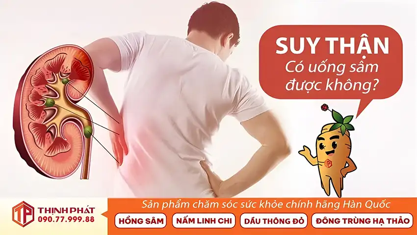 Suy thận có uống sâm được không? Suy thận có uống sâm được không?