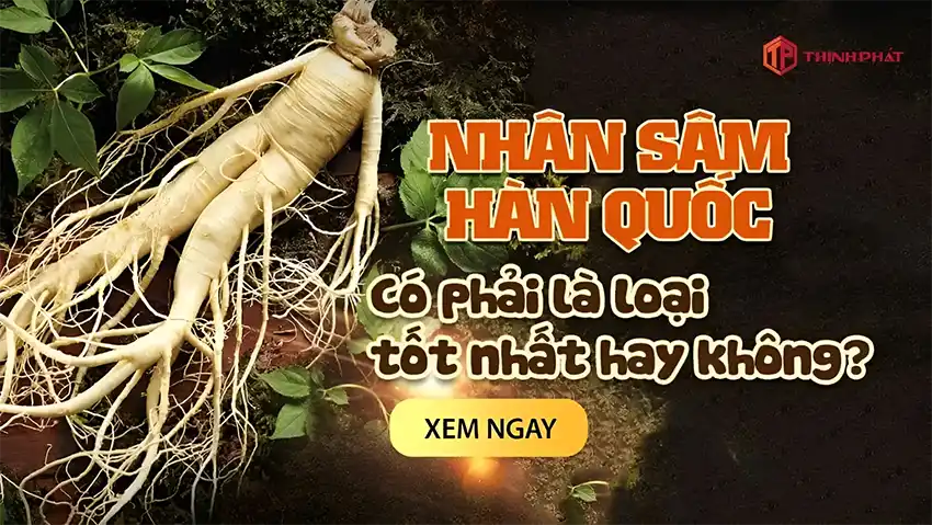 Nhân sâm Hàn Quốc có phải là loại tốt nhất hay không?