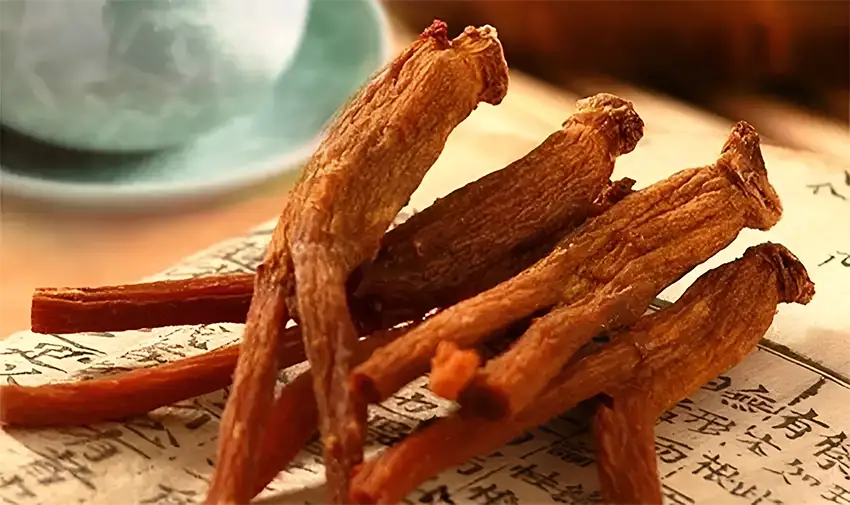 Hồng sâm Hàn Quốc là món quà sức khỏe quý giá, bổ dưỡng dành cho người cao tuổi Hồng sâm Hàn Quốc là món quà sức khỏe quý giá, bổ dưỡng dành cho người cao tuổi