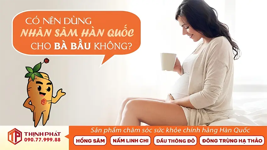 Có nên dùng nhân sâm Hàn Quốc cho bà bầu không? Có nên dùng nhân sâm Hàn Quốc cho bà bầu không?