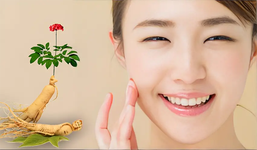 Nhân sâm mang đến nhiều lợi ích sức khỏe cho phụ nữ Nhân sâm mang đến nhiều lợi ích sức khỏe cho phụ nữ