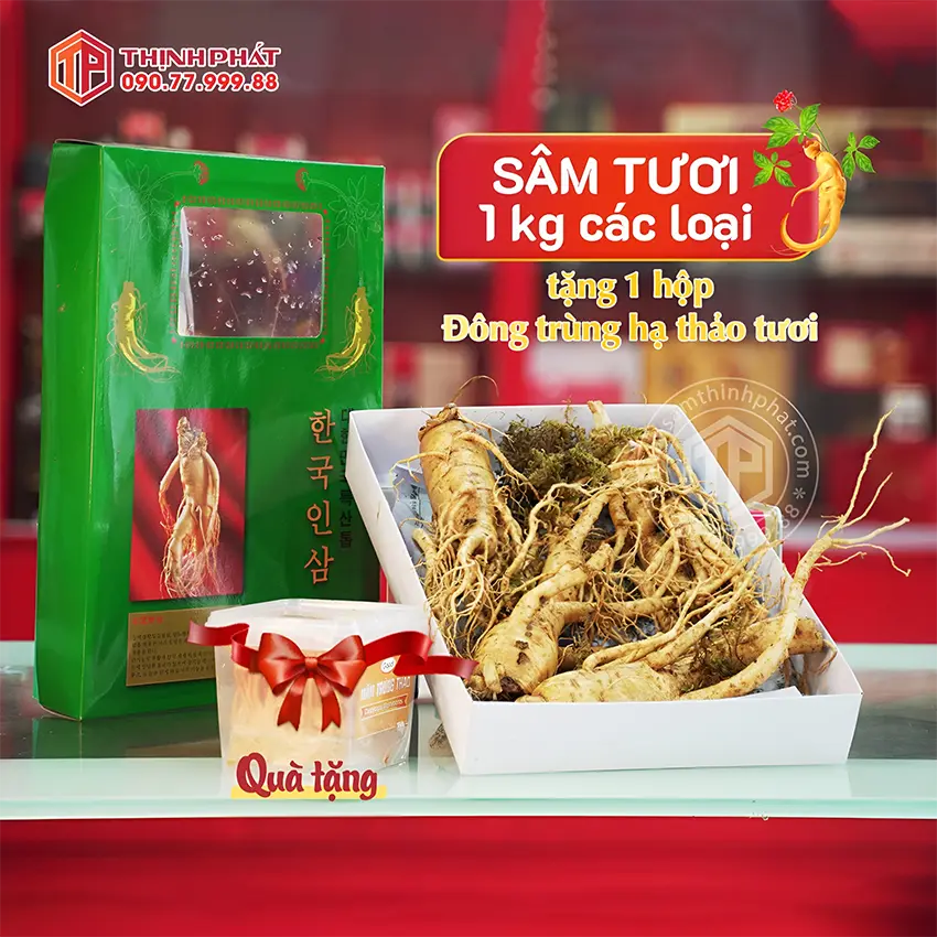 Chương trình ưu đãi: Mua 1kg sâm tươi tặng 1 hộp đông trùng hạ thảo tươi