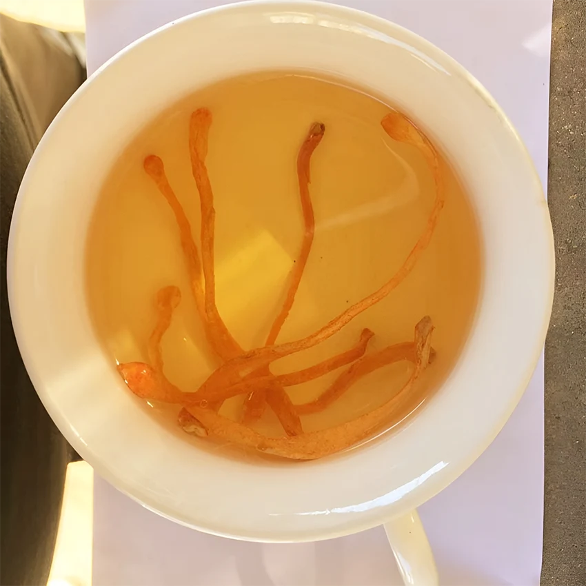 Nước sắc từ nhân sâm và đông trùng hạ thảo có thể sử dụng hằng ngày