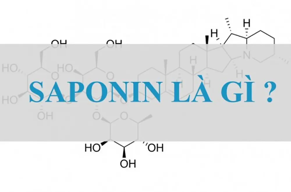 Saponin là nhóm phức hợp có khả năng xà phòng hóa như tẩy rửa Saponin là nhóm phức hợp có khả năng xà phòng hóa như tẩy rửa