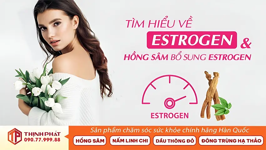Tìm hiểu về Estrogen tự nhiên và hồng sâm Hàn Quốc bổ sung Estrogen Tìm hiểu về Estrogen tự nhiên và hồng sâm Hàn Quốc bổ sung Estrogen