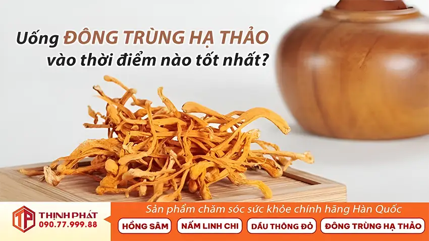 Uống Đông Trùng Hạ Thảo Vào Lúc Nào Tốt Nhất? Uống Đông Trùng Hạ Thảo Vào Lúc Nào Tốt Nhất?