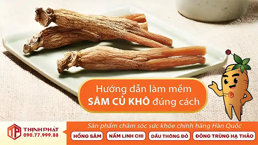 Hướng dẫn làm mềm sâm củ khô đúng cách Hướng dẫn làm mềm sâm củ khô đúng cách