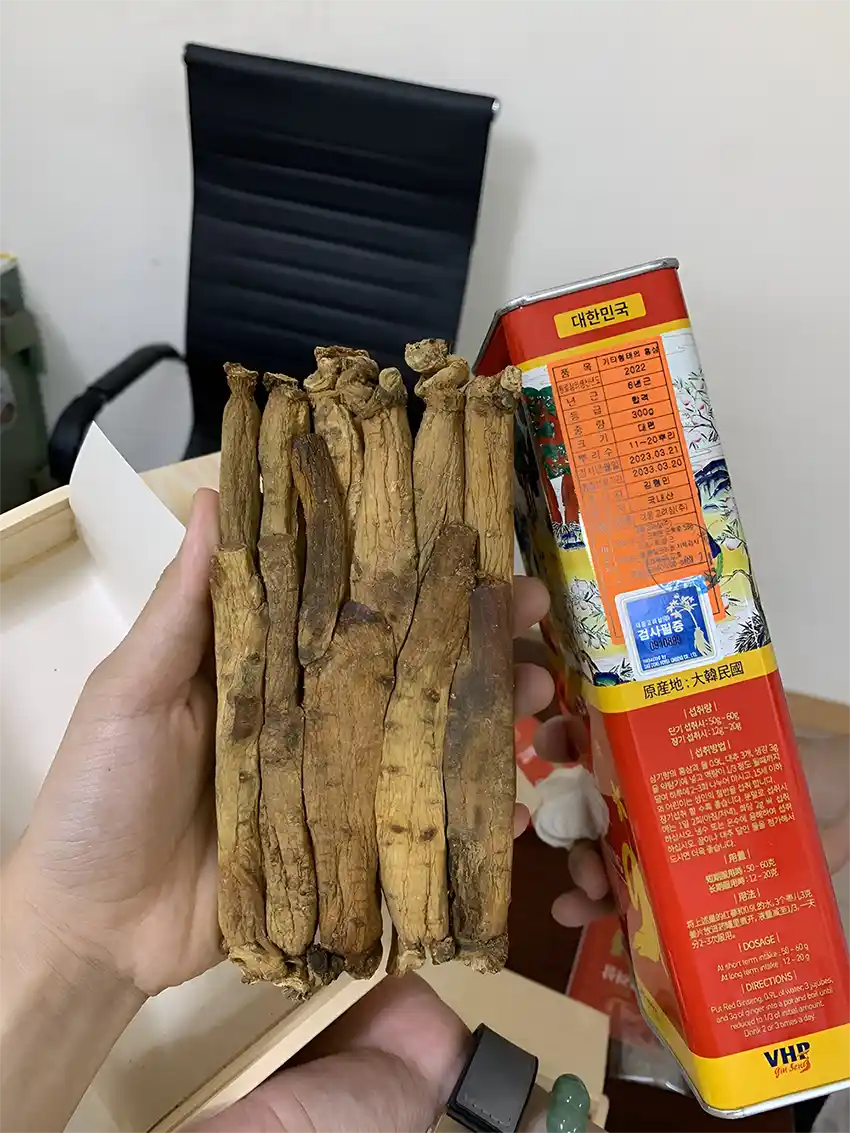 Sâm củ khô có đặc điểm là rất cứng nên cần phải làm mềm trước khi sử dụng Sâm củ khô có đặc điểm là rất cứng nên cần phải làm mềm trước khi sử dụng