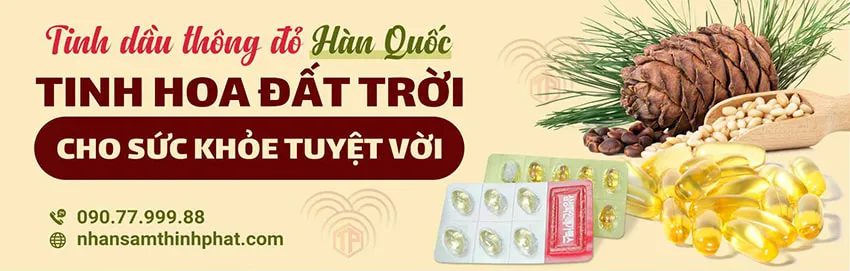 Tinh Dầu Thông Đỏ Hàn Quốc - Tinh Hoa Đất Trời Cho Sức Khỏe Tuyệt Vời Tinh Dầu Thông Đỏ Hàn Quốc - Tinh Hoa Đất Trời Cho Sức Khỏe Tuyệt Vời