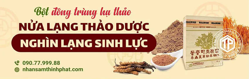 Bột đông trùng hạ thảo - Nửa lạng thảo dược, nghìn lạng sinh lực