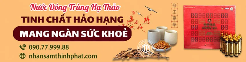 Nước đông trùng hạ thảo - Tinh chất hảo hạng mang ngàn sức khỏe Nước đông trùng hạ thảo - Tinh chất hảo hạng mang ngàn sức khỏe