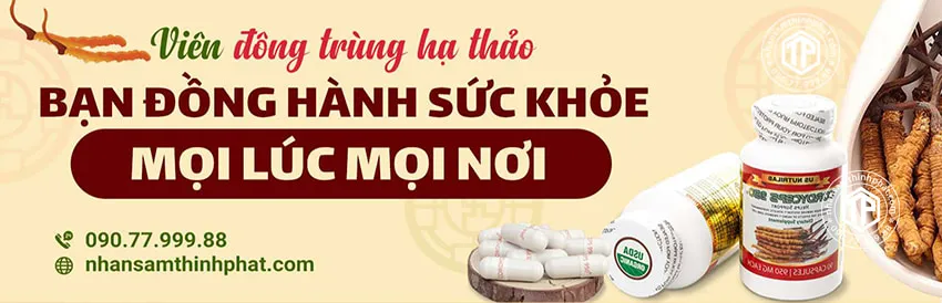 Viên đông trùng hạ thảo đồng hành cùng sức khỏe mọi lúc mọi nơi Viên đông trùng hạ thảo đồng hành cùng sức khỏe mọi lúc mọi nơi