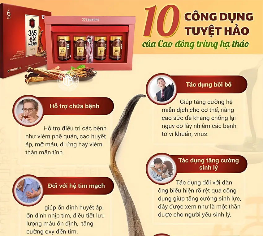 10 công dụng tuyệt hảo của cao đông trùng hạ thảo