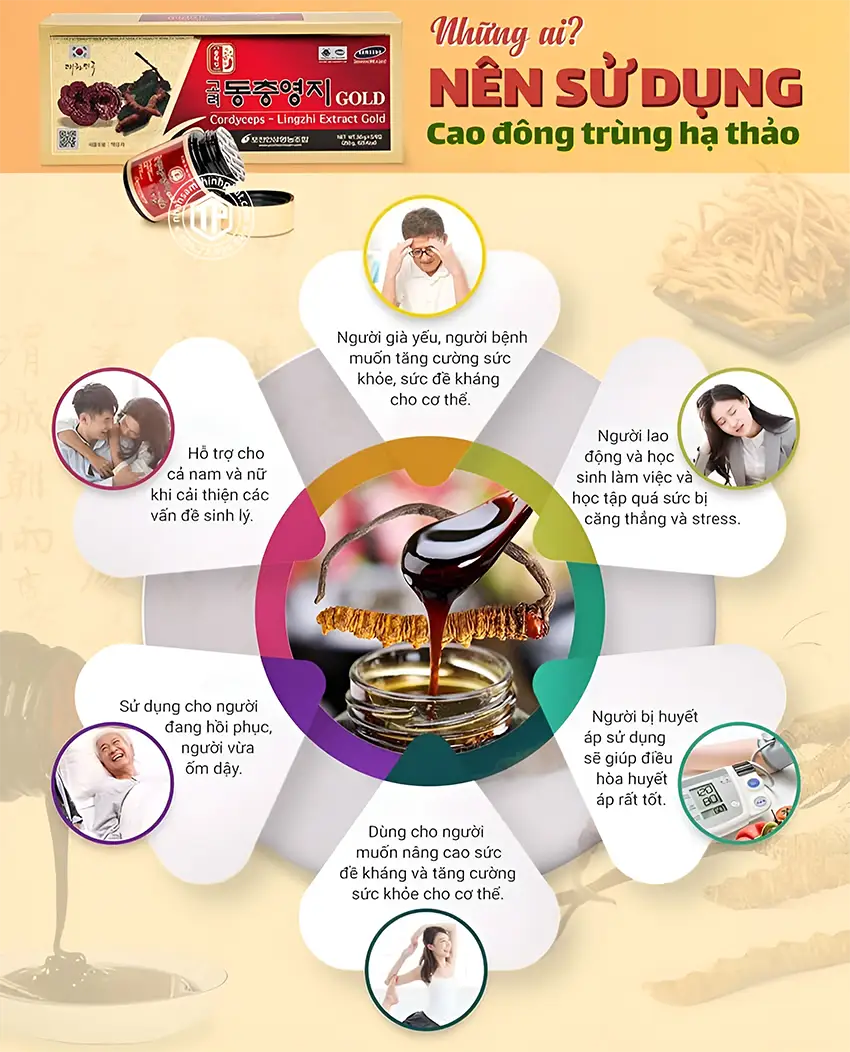 Những ai nên sử dụng cao đông trùng hạ thảo