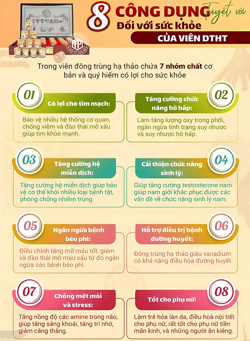 8 công dụng tuyệt vời đối với sức khỏe của viên đông trùng hạ thảo 8 công dụng tuyệt vời đối với sức khỏe của viên đông trùng hạ thảo
