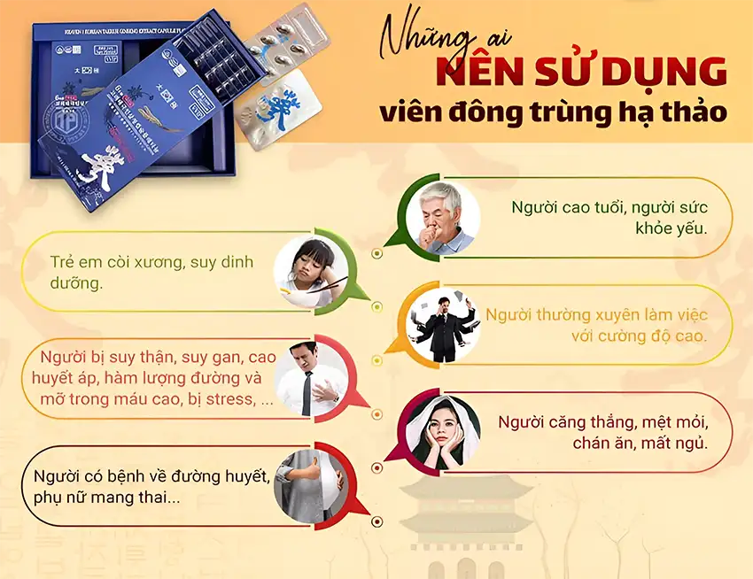 Những ai nên sử dụng viên đông trùng hạ thảo Những ai nên sử dụng viên đông trùng hạ thảo