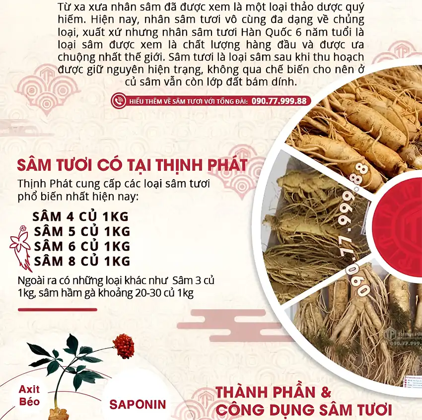 Giới thiệu sâm tươi Hàn Quốc Giới thiệu sâm tươi Hàn Quốc