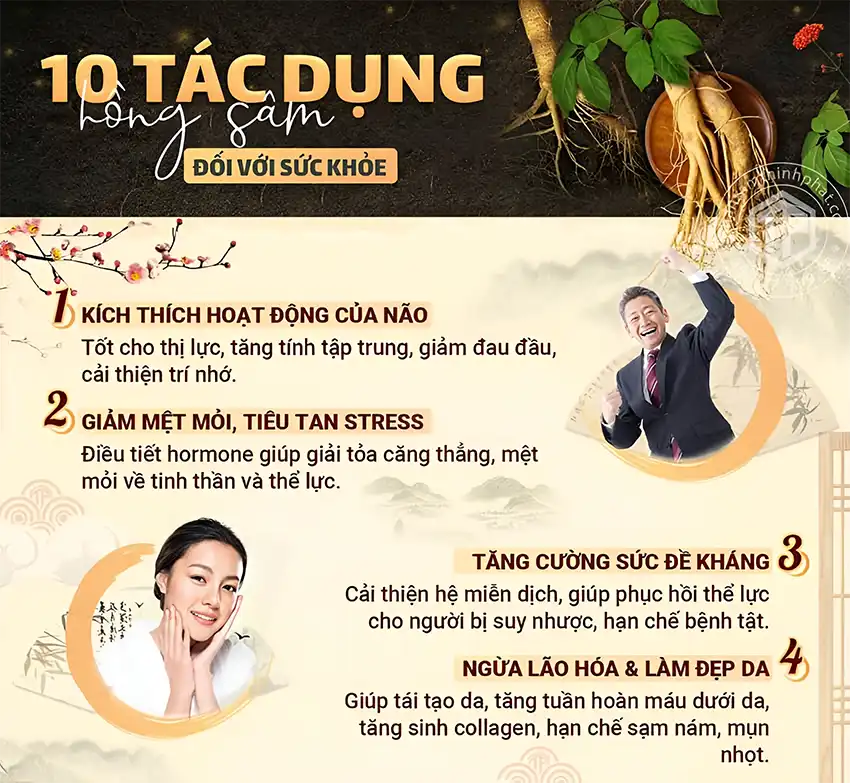 10 tác dụng của hồng sâm đối với sức khỏe