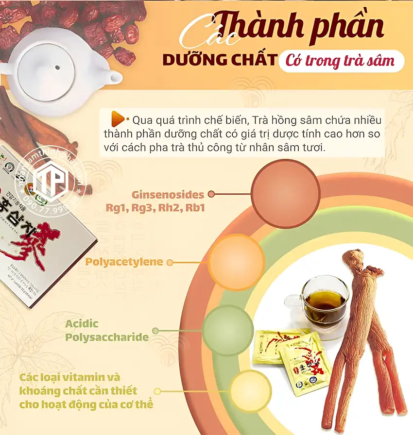 Thành phần dưỡng chất có trong trà sâm