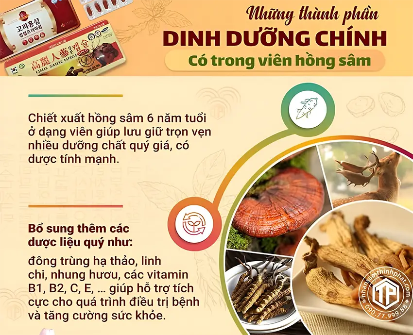 Những thành phần dinh dưỡng chính có trong viên hồng sâm