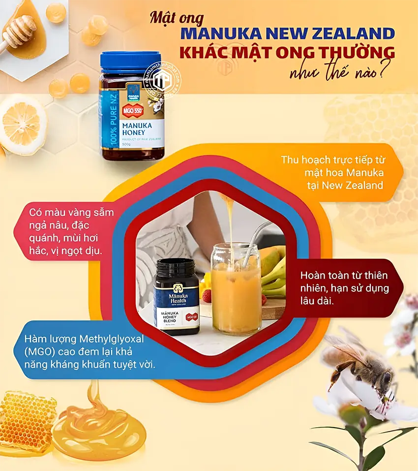 Mật ong manuka New Zealang khác mật ong thường như thế nào? Mật ong manuka New Zealang khác mật ong thường như thế nào?