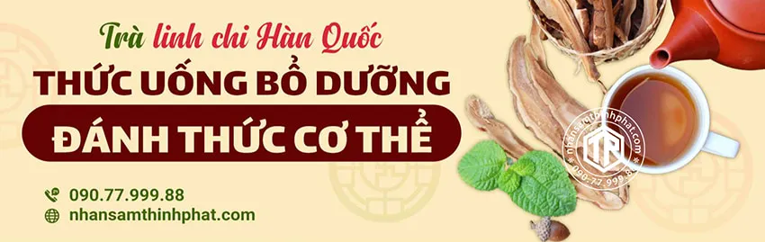 Trà Linh Chi Hàn Quốc - Thức Uống Bổ Dưỡng Đánh Thức Cơ Thể Trà Linh Chi Hàn Quốc - Thức Uống Bổ Dưỡng Đánh Thức Cơ Thể
