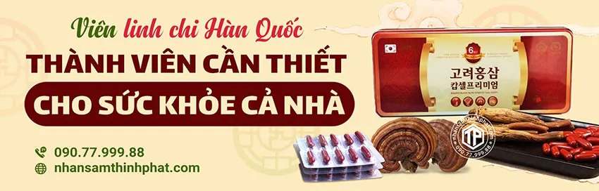 Viên linh chi Hàn Quốc - Thành viên cần thiết cho sức khỏe cả nhà
