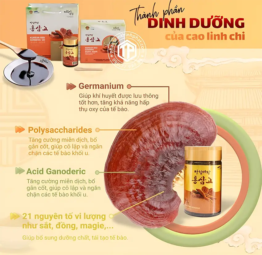 Thành phần của cao linh chi Hàn Quốc Thành phần của cao linh chi Hàn Quốc