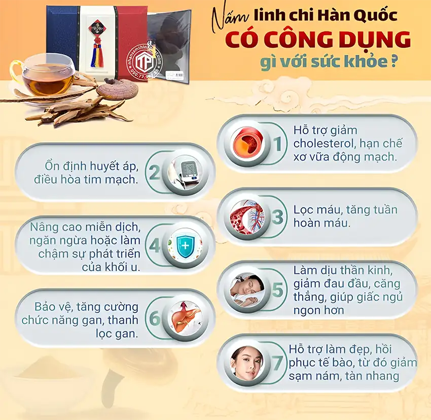 Nấm Linh Chi Hàn Quốc Có Công Dụng Gì Đối Với Sức Khỏe? Nấm Linh Chi Hàn Quốc Có Công Dụng Gì Đối Với Sức Khỏe?