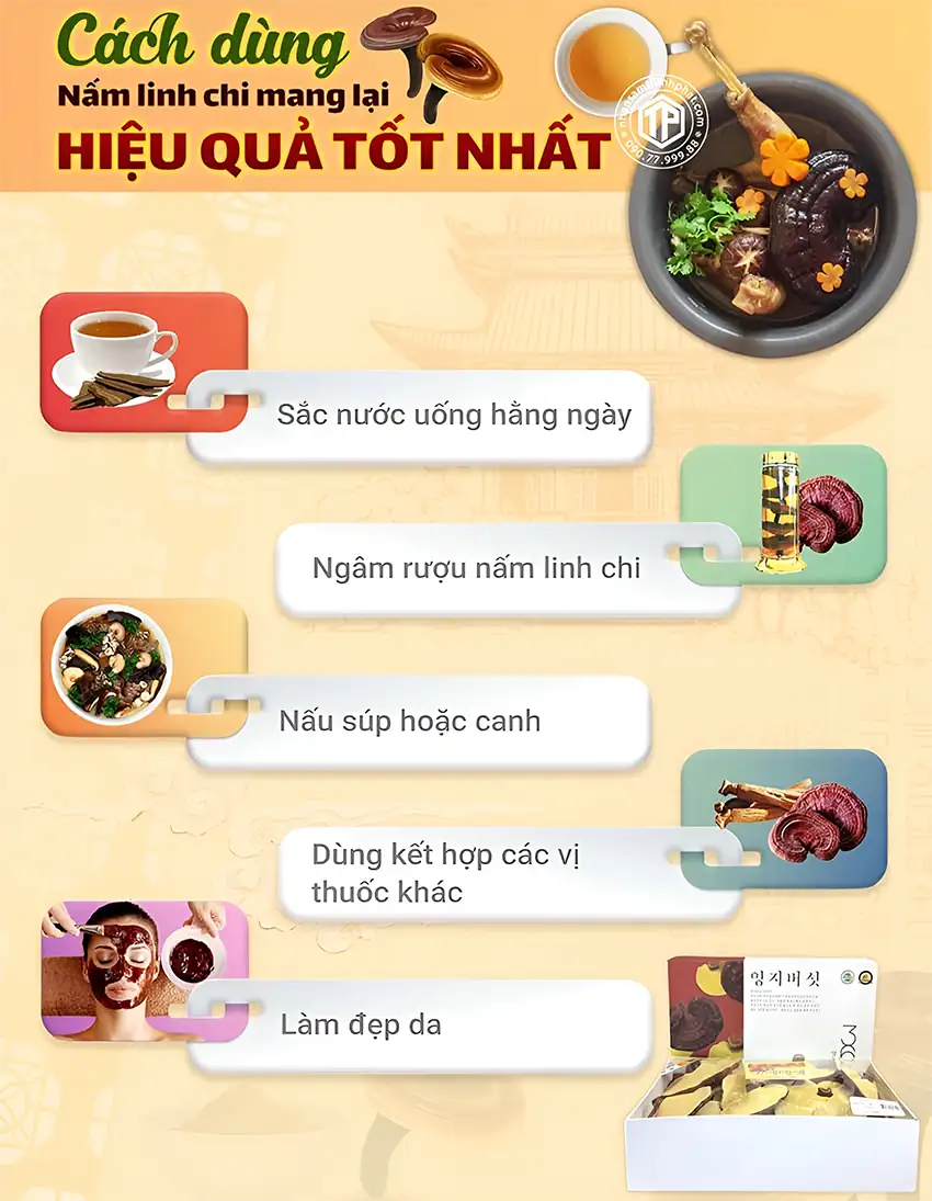 Cách dùng nấm linh chi mang lại hiệu quả tốt nhất Cách dùng nấm linh chi mang lại hiệu quả tốt nhất