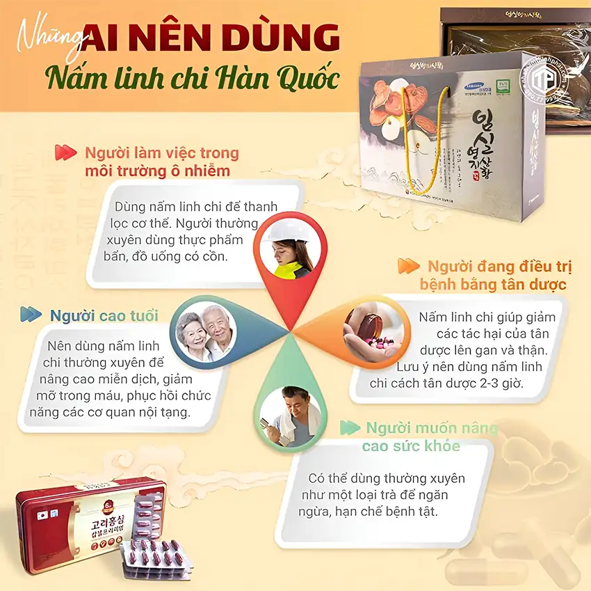 Những ai nên dùng nấm linh Hàn Quốc Những ai nên dùng nấm linh Hàn Quốc