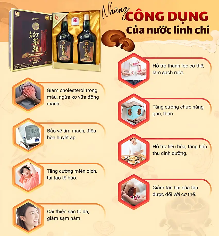 Những Công Dụng Của Nước Linh Chi Hàn Quốc