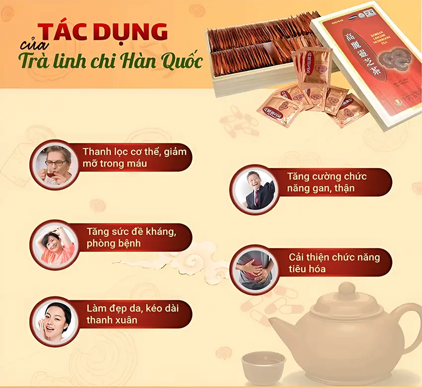 Tác Dụng Của Trà Linh Chi Hàn Quốc Tác Dụng Của Trà Linh Chi Hàn Quốc