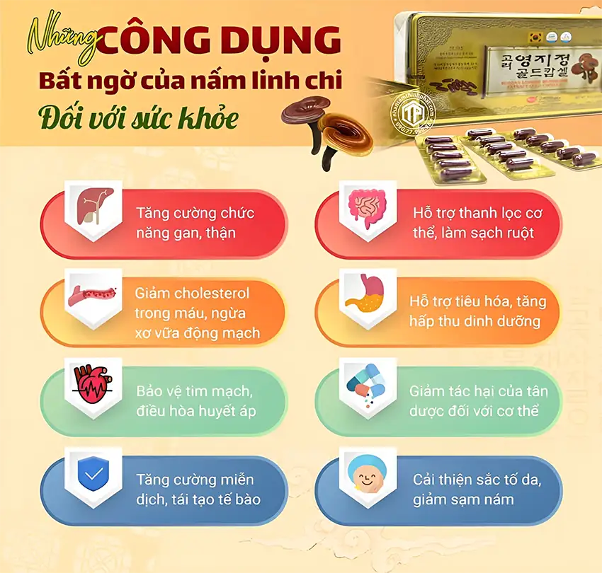 Những Công Dụng Bất Ngờ Của Viên Linh Chi Hàn Quốc Đối Với Sức Khỏe